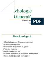 Miologie gener nou (1).pdf