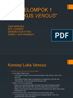 KELOMPOK 1 Luka Vena