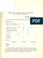 Diccionario Tzeltal de Tenejapa