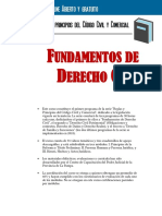 Fundamentos de Derecho Civil - Programa Analitico PDF