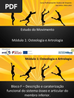 Osteologia_artrologia_Bloco F