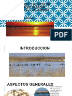 DOÑANA-BIOQIMICA.pptx