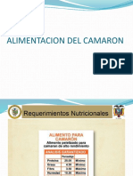 ALIMENTACION DEL CAMARON.pptx