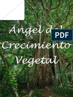 Ángel Del Crecimiento Vegetal PDF