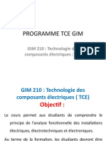 Programme Tce Gim