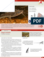015 Bagre Amarillo PDF