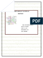 Metabolic Pathway: Name: Munazirr Fathima F ROLL - NO: 191EC208 Year: 1 Yr - B.E Department: Ece DATE: 28/03/2020