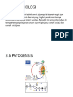 Epidemiologi & Patogenesis Amebiasis