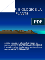 Ritmuri Biologice La Plante