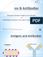 Distinguish Between Antigens and Antibodies. & Understand An Outline of The Steps in Antibody Production