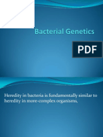 Bacterial Genetics II