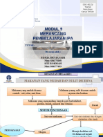 IPA Modul 9