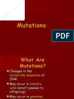 DNA Changes and Their Effects