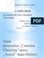 Literatura Universala