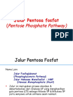 pentosa1