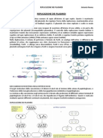 Miv Replicazione Dei Plasmidi