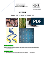 bab-3-mutasi.pdf