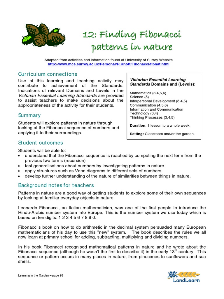 Fibonacci Patterns in Bee Families | PDF | Bees | Fruit