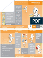 Triptico La Salud Esta en Tus Manos