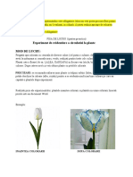FISA DE LUCRU 2-Circulatia La Plante