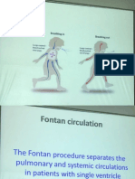 fontan circulation