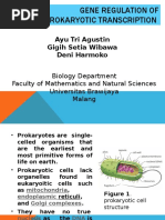 Gene Regulation of Prokaryotic Transcription