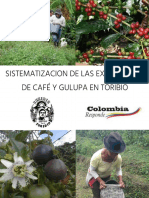 INFORME FINAL - Sistematizacion Cafe Gulupa PDF