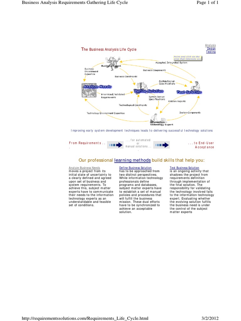 Business Analysis Life Cycle Guide | PDF | Business Analysis | Computing