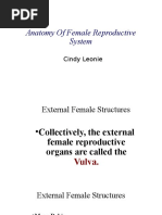 Anatomy of Female Reproductive System: Cindy Leonie