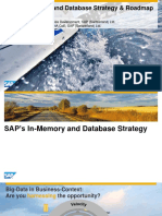 FINAL - SAP in Memory - Database Strategy