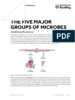 The Five Major Groups of Microbes: Additional Resource