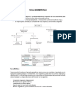 Taller Rocas Sedimentarias y Metamórficas PDF