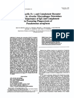 Berger1994 PDF