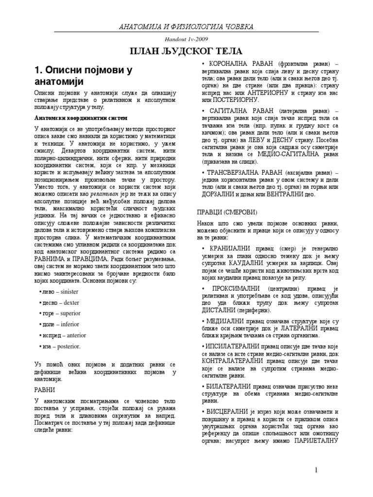 Anatomija I Fiziologija Coveka PDF | PDF