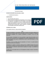 01_Tarea prevencion de riesgo.pdf