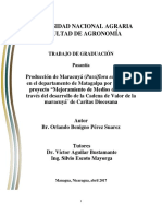 Cultivo de Maracuya PDF