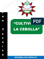 Cebolla.pdf