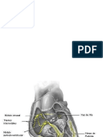 Electrocardiografía Básica Final