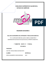 1R. DEGRADACION DE AC. NUCLEICOS.pdf