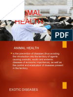 animal health