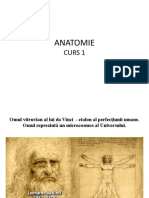 ANATOMIE 1 Oase Clasificare Coloana Vertebrala Pelvis