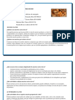 Lienzo de Modelo de Negocios PDF