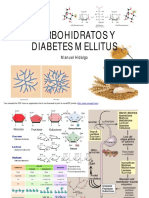 Carbohidratos Y Diabetes Mellitus: Manuel Hidalgo