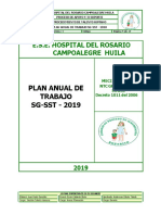 8 Plan de Trabajo Anual de Seguridad y Salud en El Trabajo ESE HR 2019 PDF