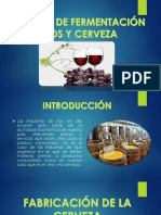 Industria de Fermentacion Vinos y Cerveza