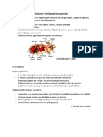 Anatomía y Fisiología de Monogástricos y Poligástricos - AEO