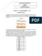 Preinforme #3