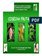 4cosecha Frutas 14 PDF