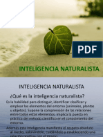 Inteligencia Naturalista