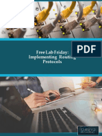 Free Lab Friday - Implementing Routing Protocols PDF